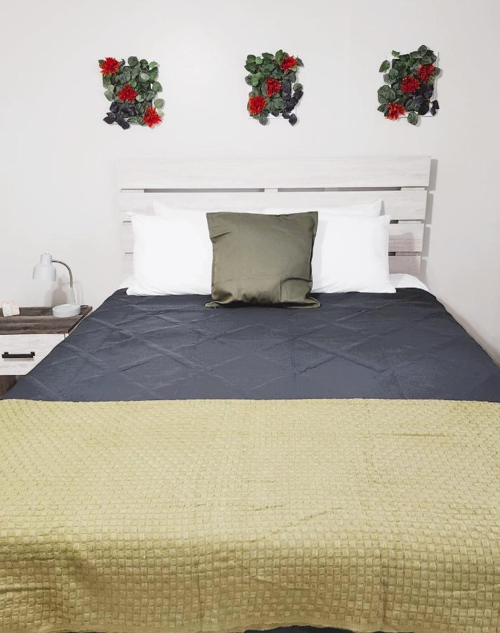 Adorable Mini Suite In Tampa Exteriör bild