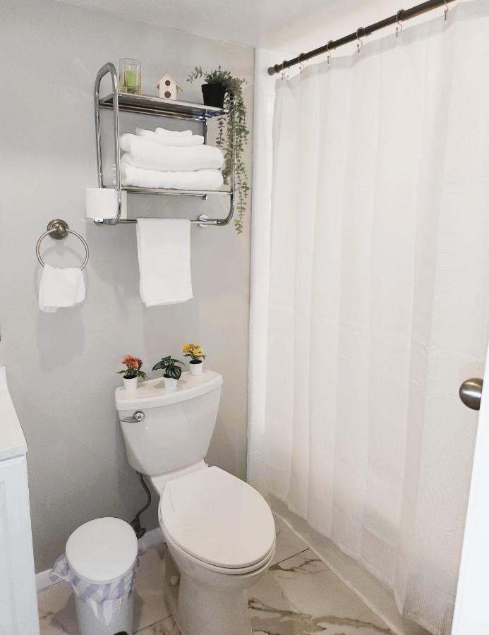 Adorable Mini Suite In Tampa Exteriör bild