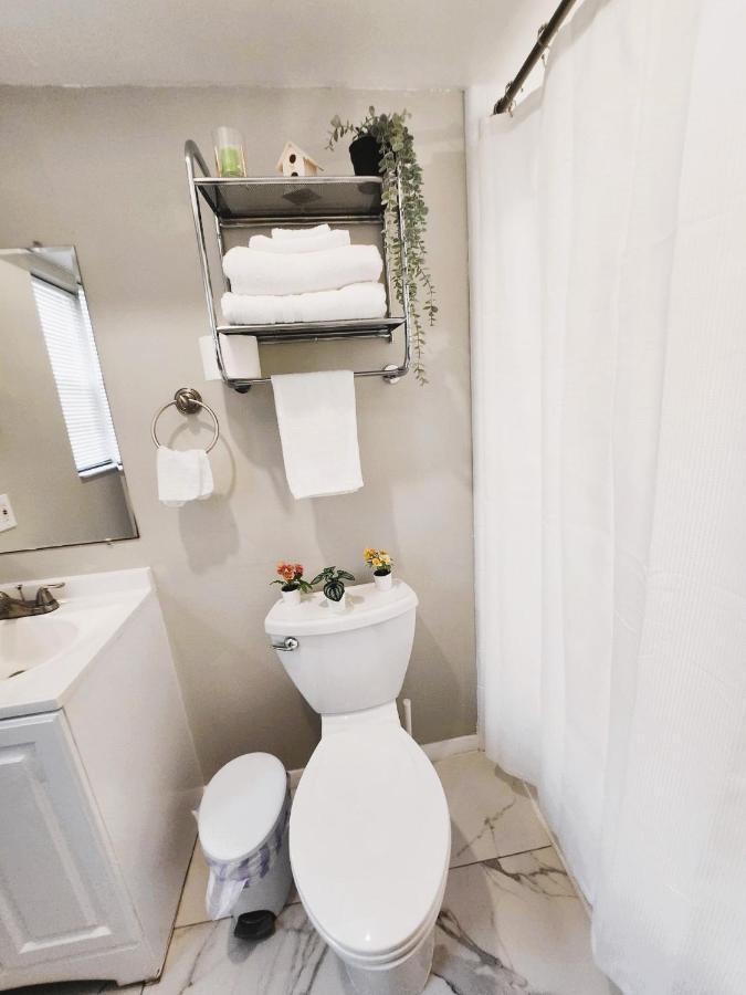 Adorable Mini Suite In Tampa Exteriör bild