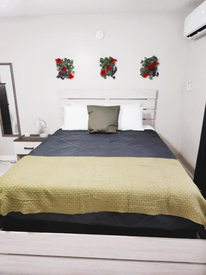 Adorable Mini Suite In Tampa Exteriör bild