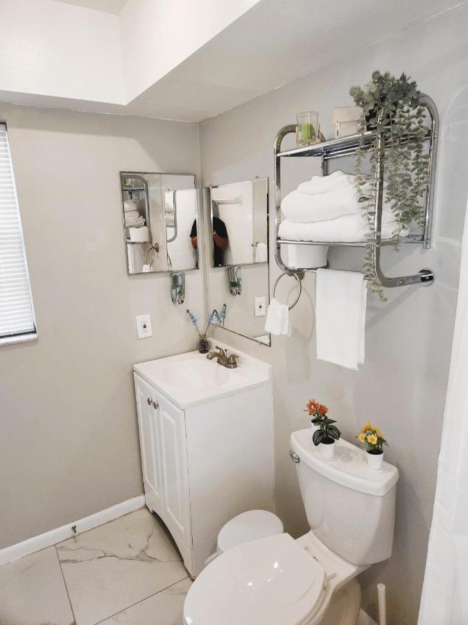 Adorable Mini Suite In Tampa Exteriör bild